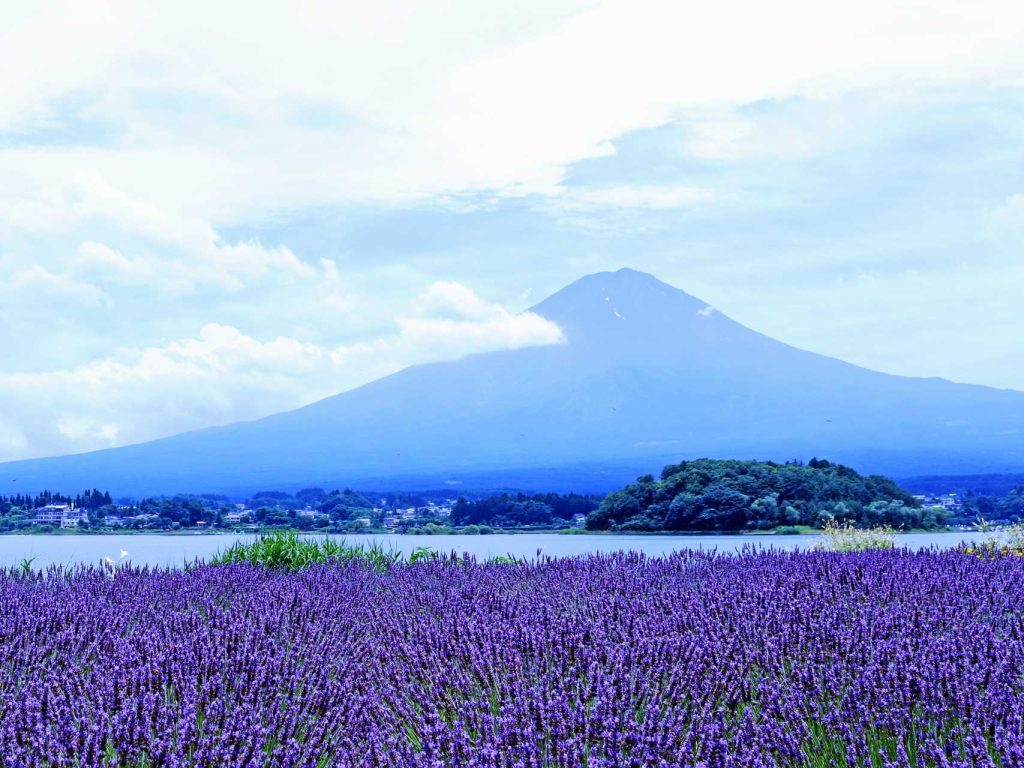 使用 JR PASS，前往號稱一生必去的富士山，每年近2千萬觀光客，也是日本最具代表象徵之一