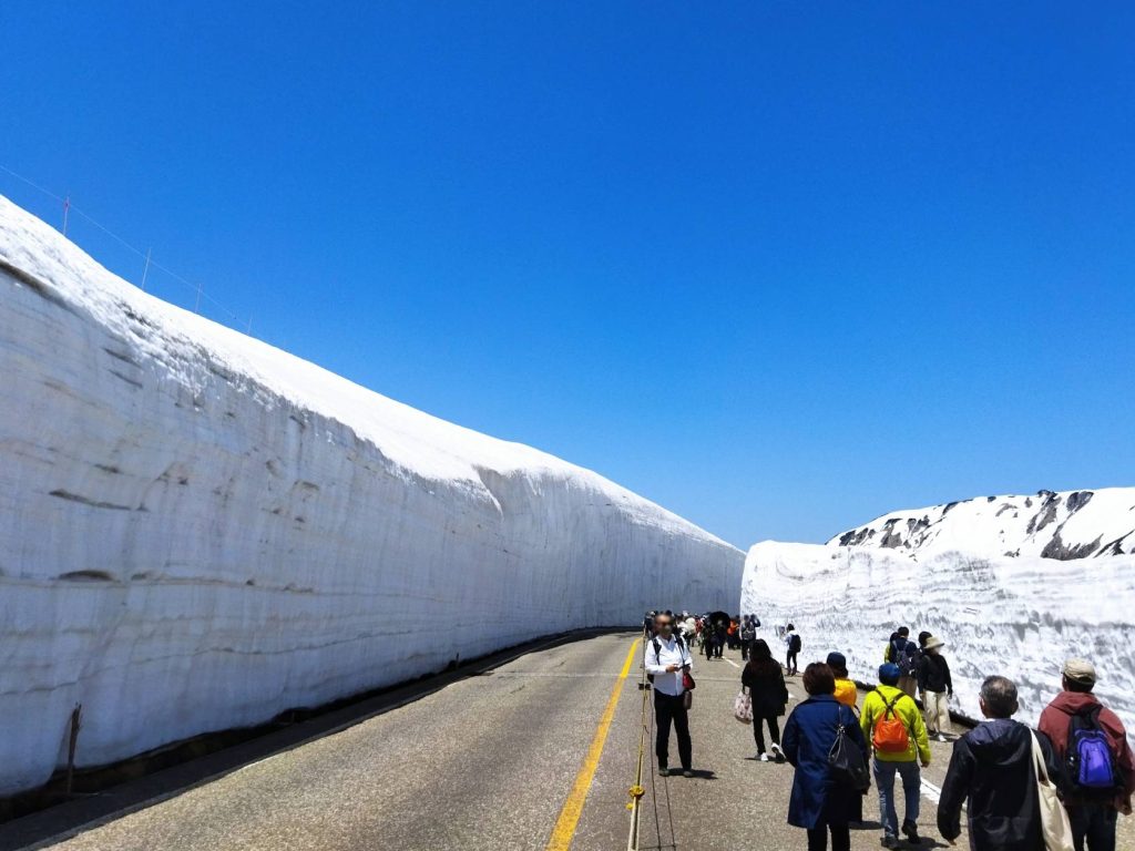 立山黑部的阿爾卑斯路線，最知名是每年4-6月的立山黑部大雪壁。立山黑部橫跨富山縣與長野縣，高達18公尺的雪壁是一生必造訪的壯觀之美景。
