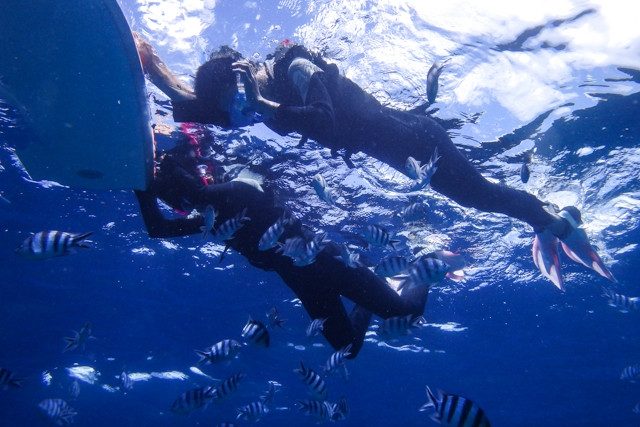 沖繩景點：青之洞窟浮潛